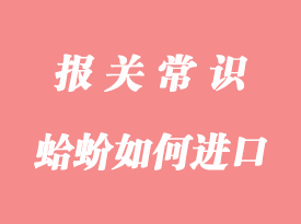 你们知道国外的蛤蚧如何进口报关到国内吗？