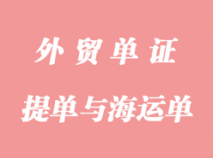 提單與海運(yùn)單的區(qū)別和聯(lián)系詳解