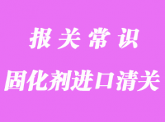 清油漆固化劑進(jìn)口清關(guān)流程