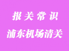 冷凍蝦浦東機場進口清關(guān)代理服務(wù)流程簡述