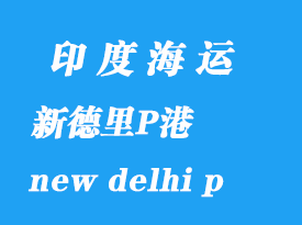 印度海运港口：新德里P港（new delhi p ）