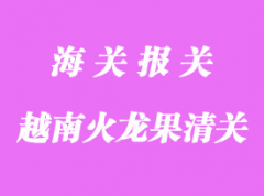 越南火龍果進(jìn)口到國(guó)內(nèi)口岸清關(guān)手續(xù)如何辦理？