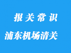 上海浦東機(jī)場(chǎng)清關(guān)公司怎么選擇?機(jī)場(chǎng)報(bào)關(guān)哪家好