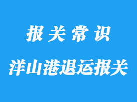 上海洋山港退运报关所需资料