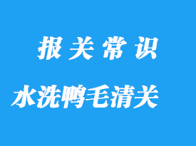 水洗鸭毛进口清关手续流程与注意事项