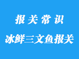 挪威进口冰鲜三文鱼机场清关方案