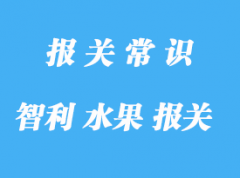 智利水果進口報關費用是怎樣的?