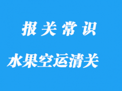 印度尼西亞水果空運(yùn)清關(guān)如何操作?