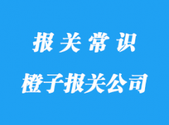 上海進(jìn)口橙子報(bào)關(guān)公司:南非等國(guó)家橙子清關(guān)注意事項(xiàng)