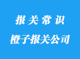 上海進(jìn)口橙子報(bào)關(guān)公司:南非等國家橙子清關(guān)注意事項(xiàng)